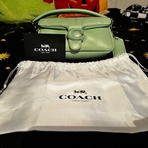Coach Pale Pistachio Leather Pillow Tabby Bag